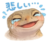 856329569