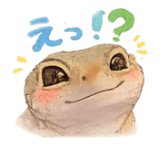 856329570
