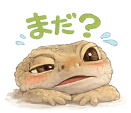 856329574