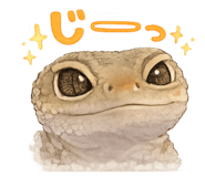 856329575