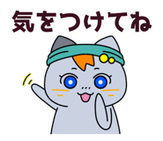 856330402
