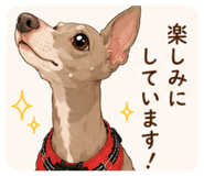856332023
