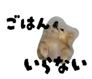 856332200