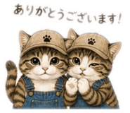 856332213