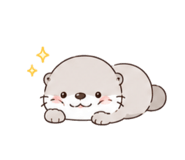 856332341