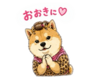 856332668