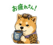 856332669