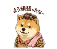 856332670
