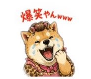 856332678
