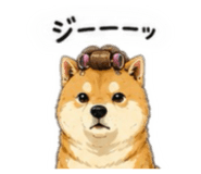856332681