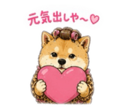 856332690