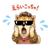 856332694