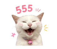 856333530