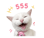 856333536