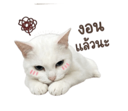 856333550