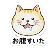 856334280