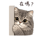 856335144