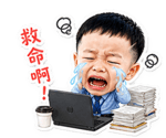 856335528