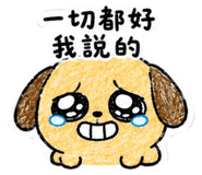856336699