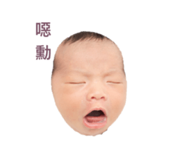 856337718