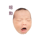 856337718