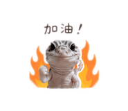 856338729