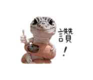 856338730