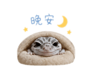 856338734