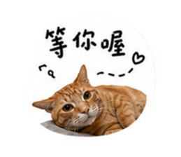 856340909