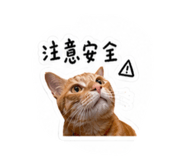 856340924