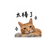 856340927