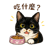 856341370