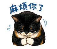 856341382