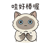 856342070