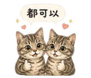 856342350