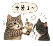 856342362