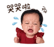 856342427