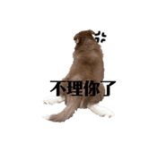 856342619