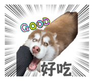 856342621