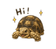 856343569