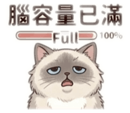 856346181
