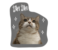 856346277