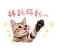 856346437