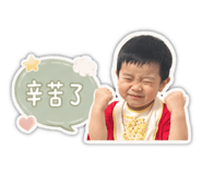 856347013