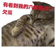 856347110