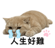 856347300