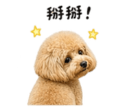 856347602