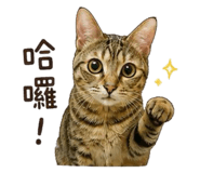 856348569