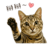 856348576