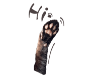 856351419